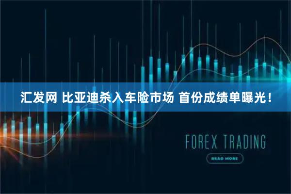 汇发网 比亚迪杀入车险市场 首份成绩单曝光！