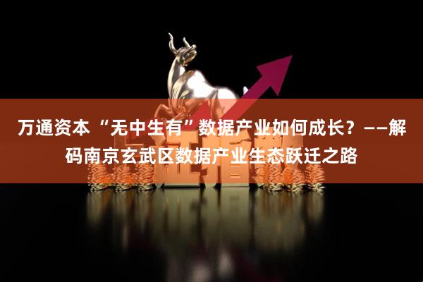 万通资本 “无中生有”数据产业如何成长？——解码南京玄武区数据产业生态跃迁之路
