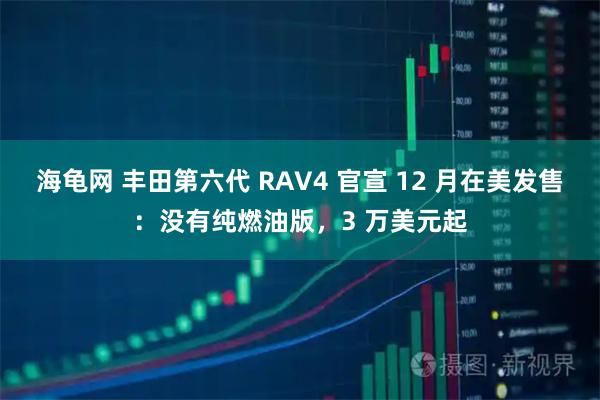 海龟网 丰田第六代 RAV4 官宣 12 月在美发售:没有纯燃油版,3 万美元起