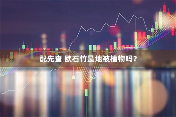 配先查 欧石竹是地被植物吗？