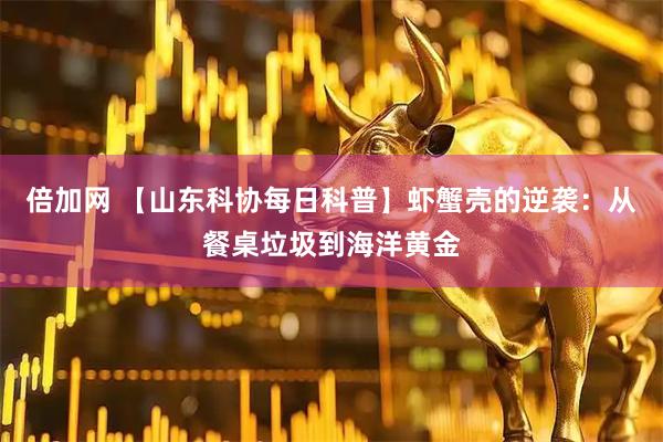 倍加网 【山东科协每日科普】虾蟹壳的逆袭：从餐桌垃圾到海洋黄金