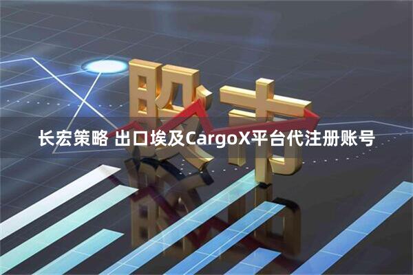 长宏策略 出口埃及CargoX平台代注册账号
