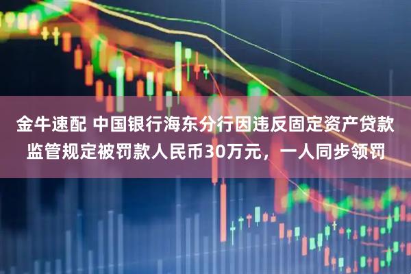 金牛速配 中国银行海东分行因违反固定资产贷款监管规定被罚款人民币30万元，一人同步领罚